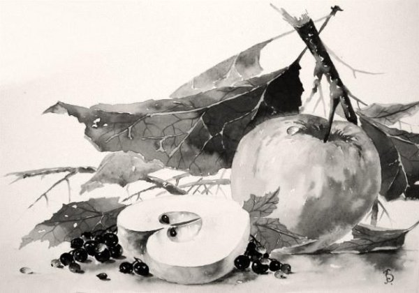 Фрукты в технике гризайль