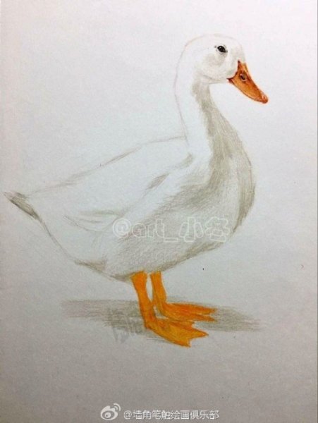 Нарисовать гусей гуашью
