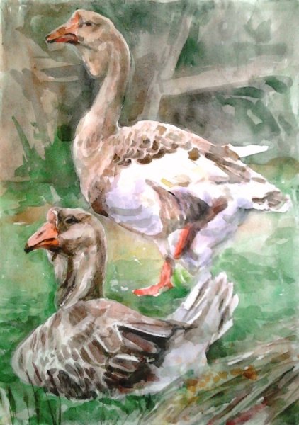 Гусь гуашью