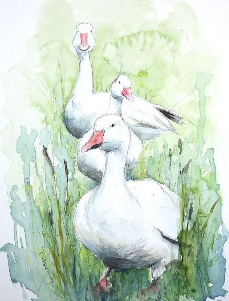 Гусь акварелью живопись