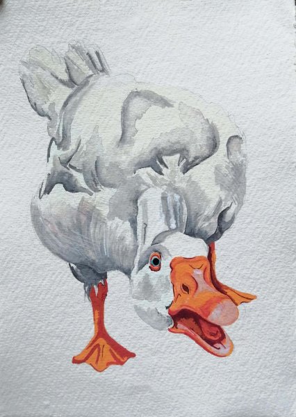 Гусь акварелью