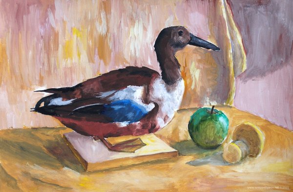 Этюд чучела птицы акварель