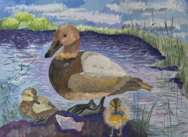 Уточки в пруду рисунок