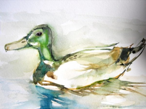 Утка акварелью