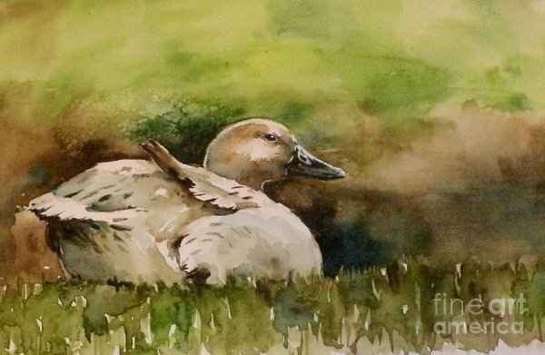 Утка гуашью