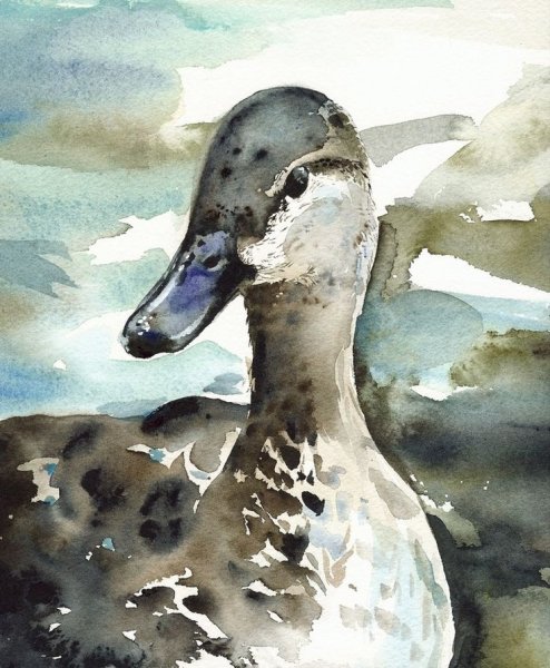 Уточка акварелью