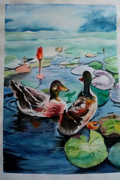 Утки акварелью живопись