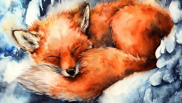 Лиса акварелью