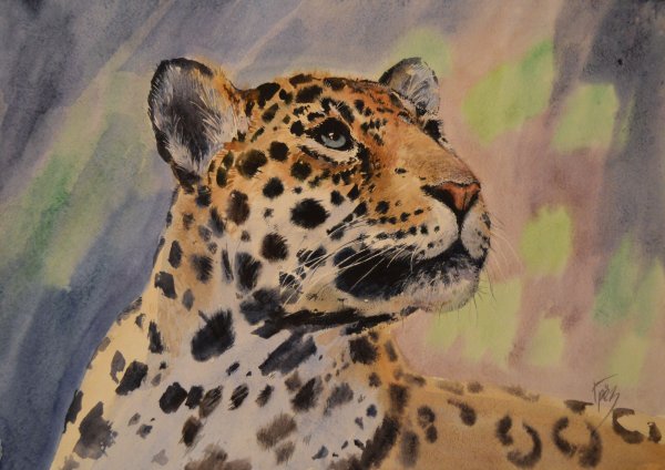 Леопард рисунок