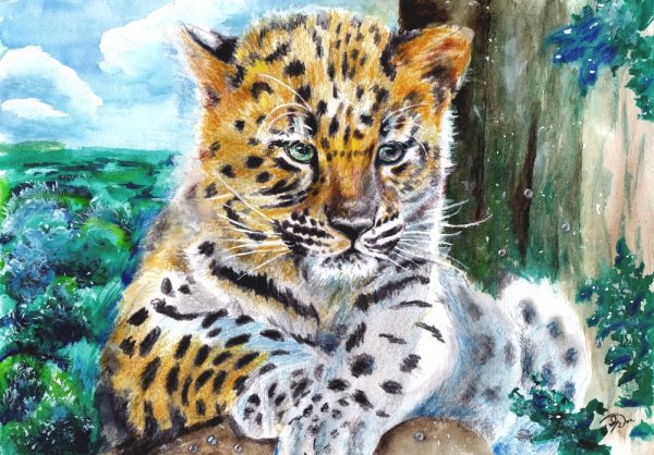 Леопард красками