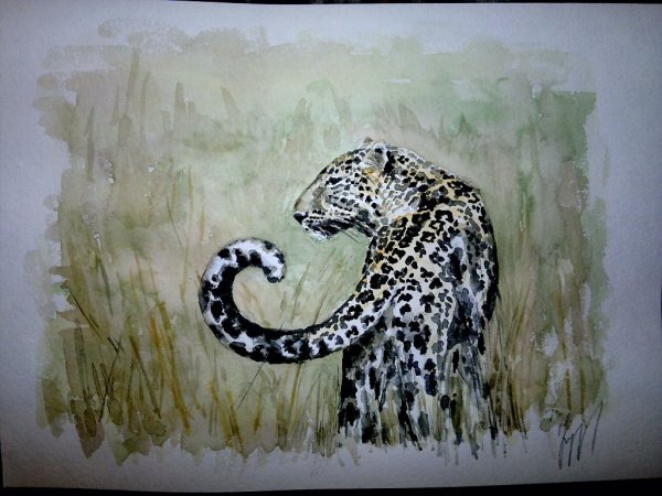 Бумага для акварели с леопардом