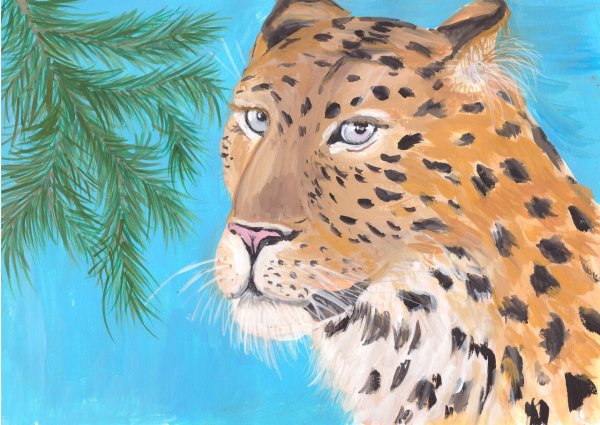 Красивые рисунки леопарда