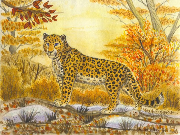 Рисование леопарда