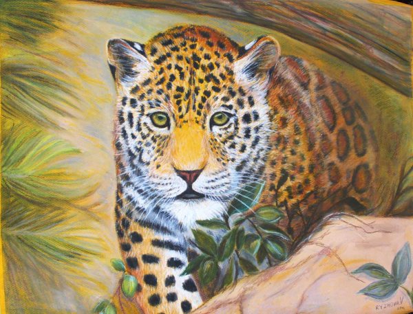 Леопард сухой пастелью