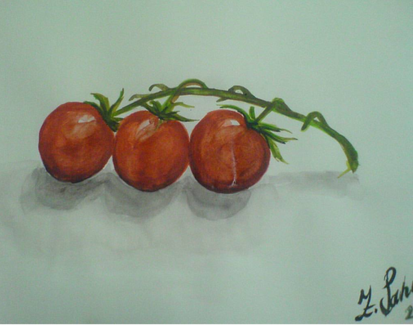 Помидор карандашом
