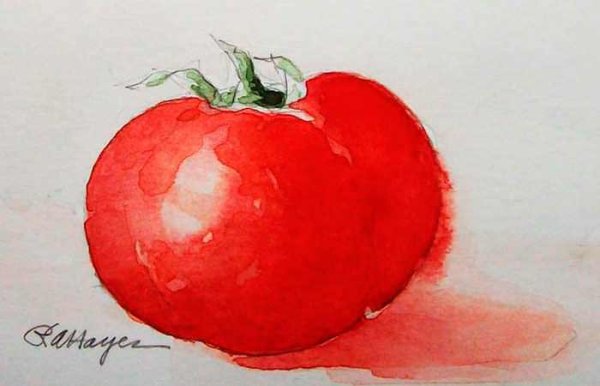 Натюрморт акварелью помидор