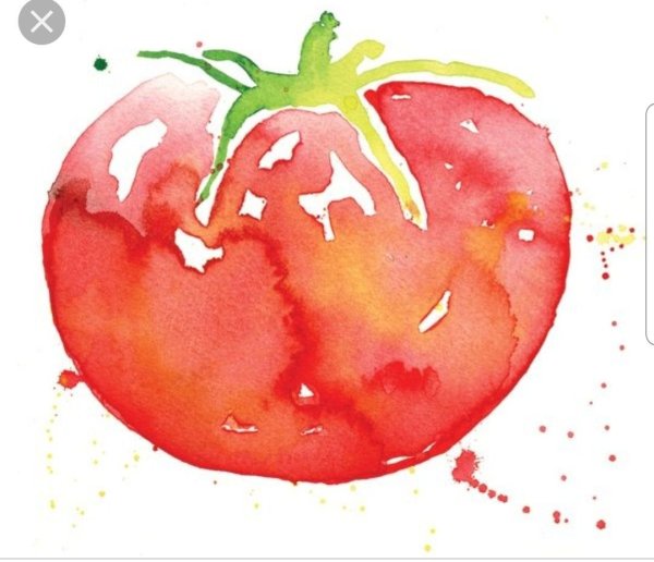 Помидор гуашью