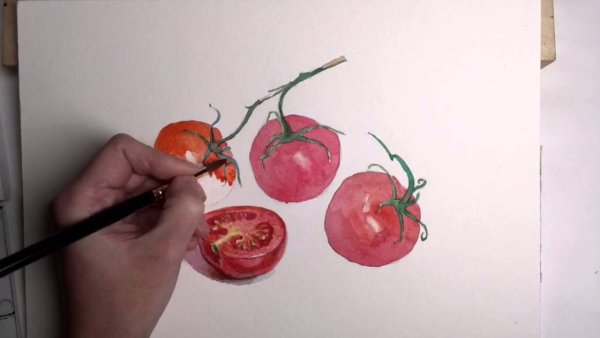 Залегина Елизавета помидор акварель