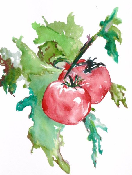 Рисование овощей акварелью