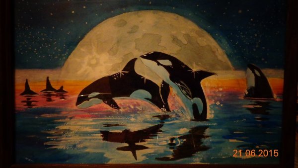 Касатка красками