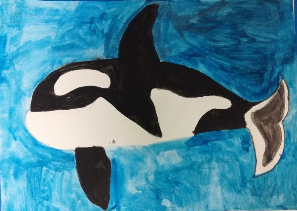 Касатка для рисования