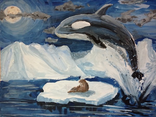 Морж гуашью