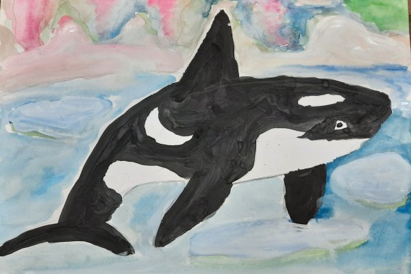 Касатка в Арктике