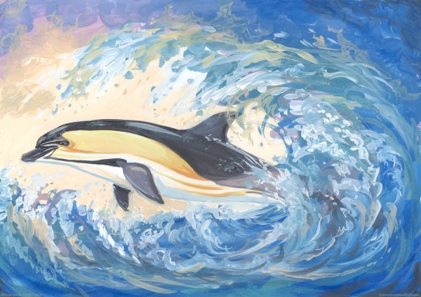 Дельфины красками