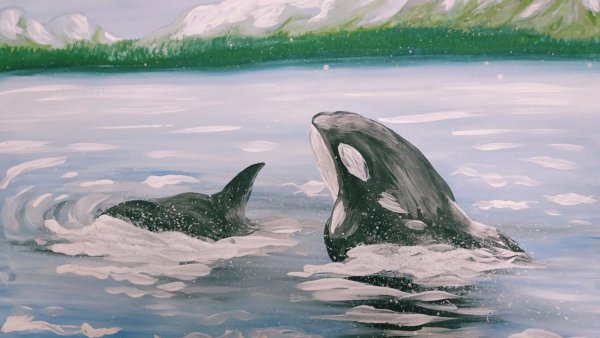 Касатка маслом