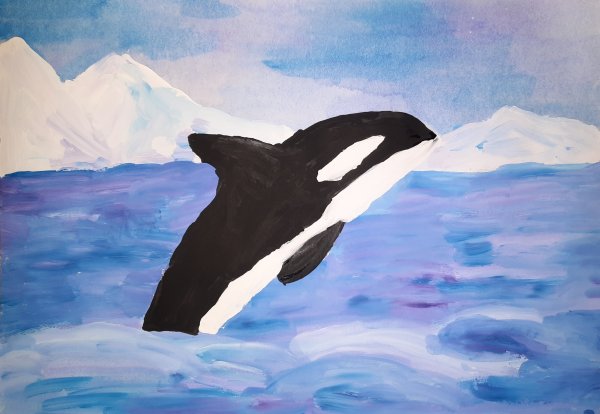 Касатка в Арктике
