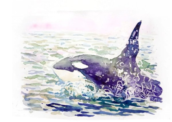 Касатки восковыми мелками