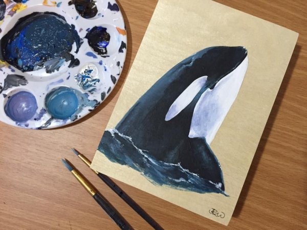 Поделка Касатка из бумаги