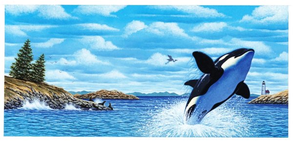 Дельфин с косаткой пейзаж рисовать