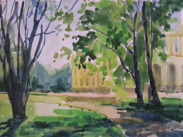 Этюды и зарисовки группы деревьев в городском парке