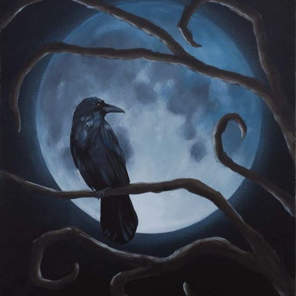 Пейзаж с тенью