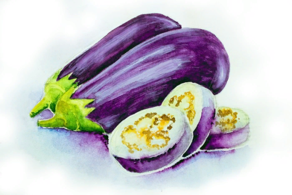 Баклажан акварелью