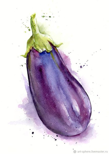 Баклажан акварелью