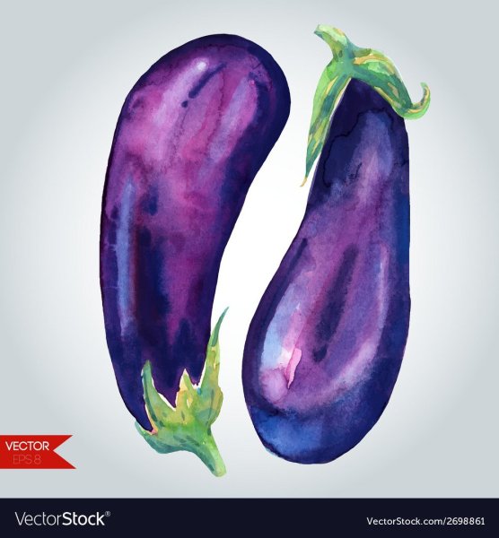 Натюрморт с баклажаном