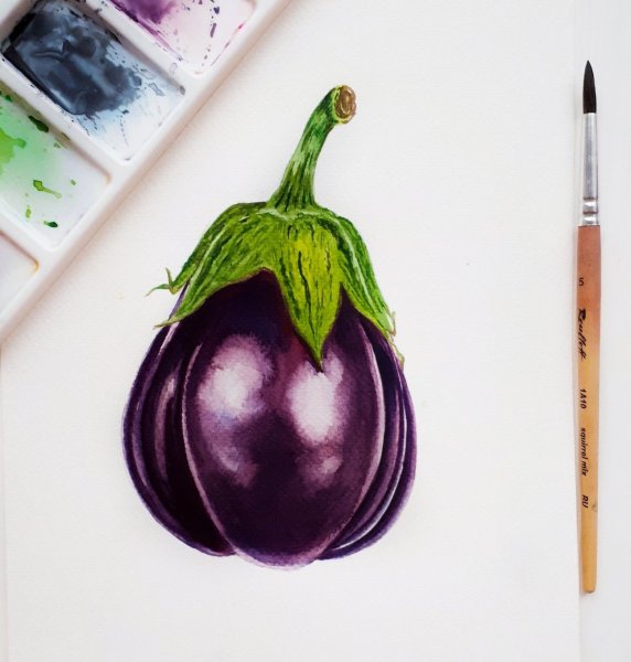 Этюд баклажана акварелью