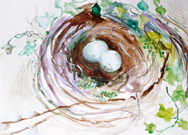 Гнездо акварель