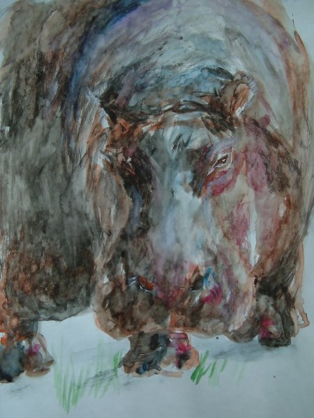 Бегемот гуашью