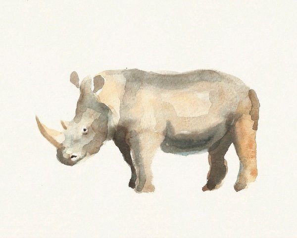 Бегемот акварелью