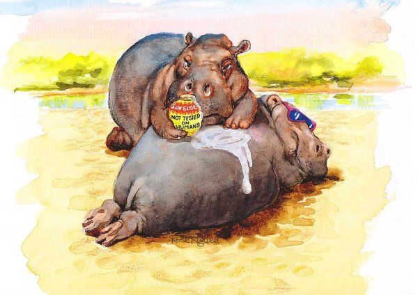 Картина Бегемот