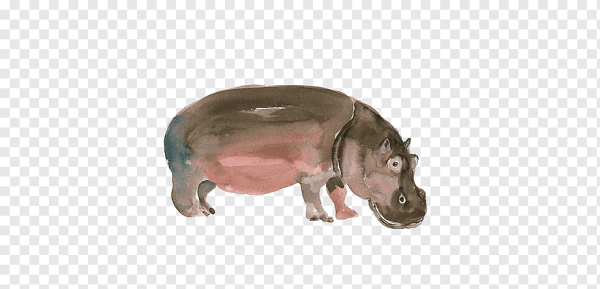 Бегемот гуашью