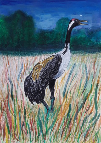 Журавль рисунок