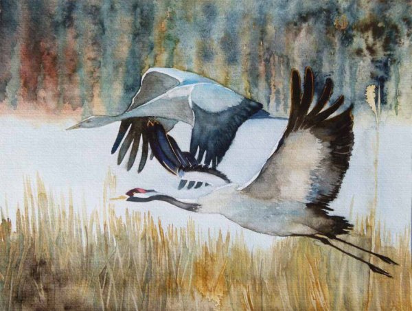 Журавль гуашью
