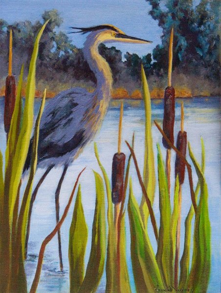 Цапля в камышах