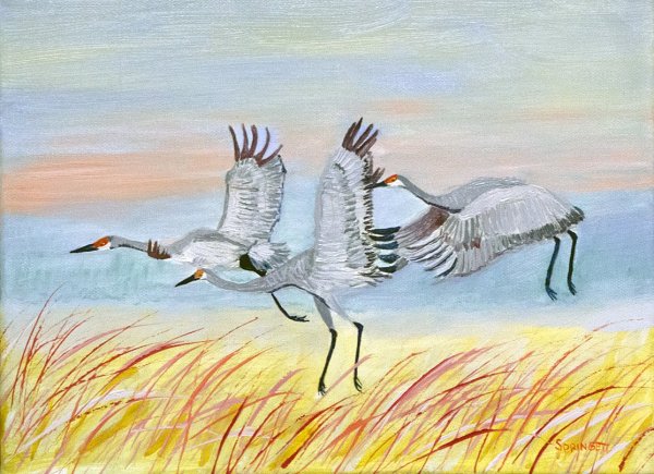 Журавль рисунок