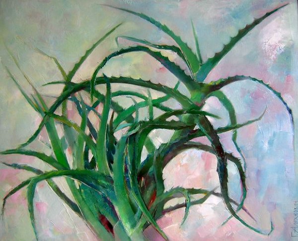 Алоэ живопись