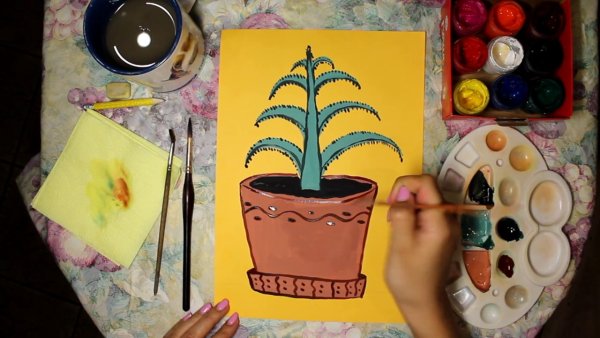 Рисование алоэ средняя группа